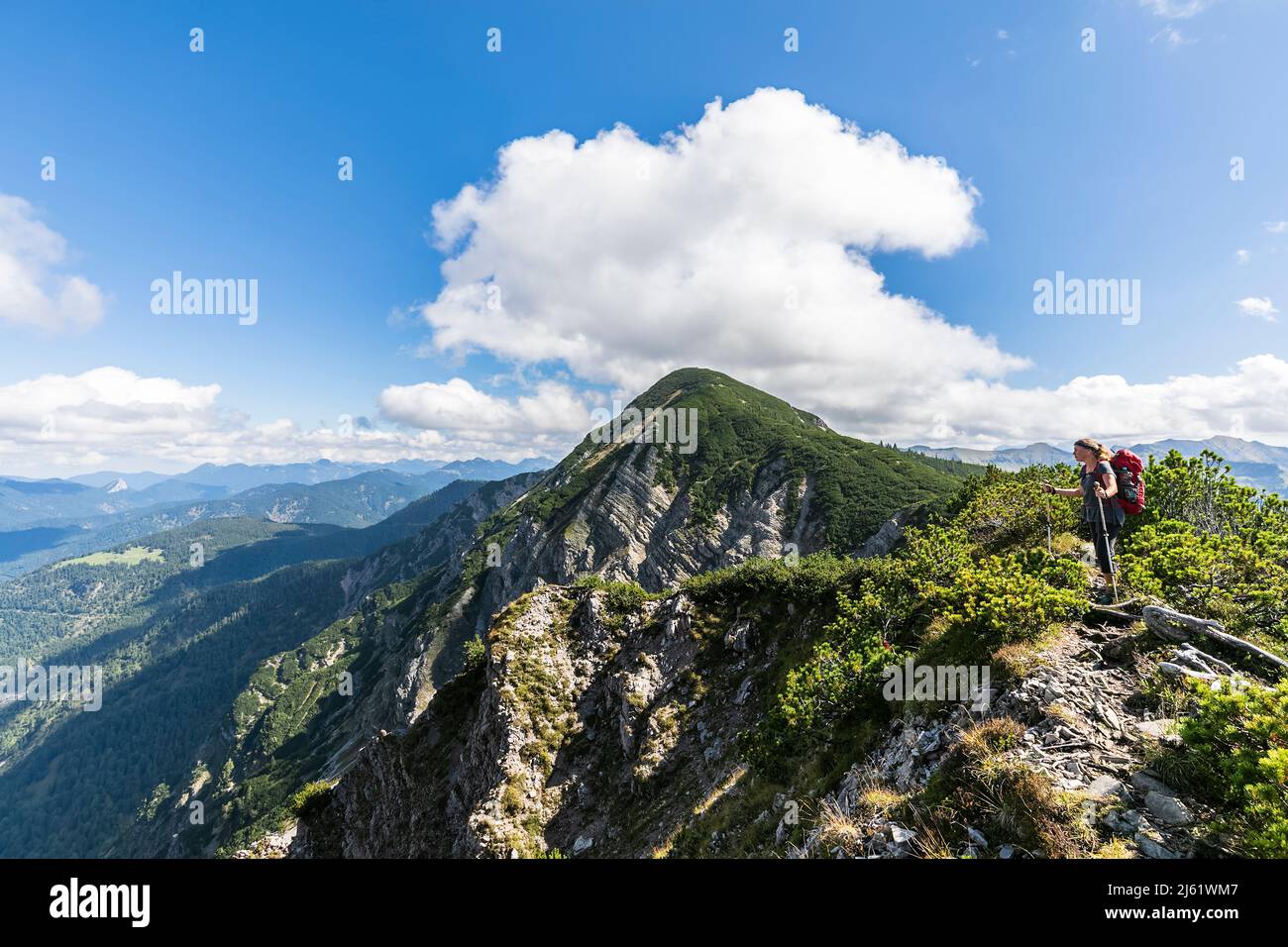 Une femme de randonnée fait une pause pour admirer le paysage estival de la gamme Karwendel Banque D'Images