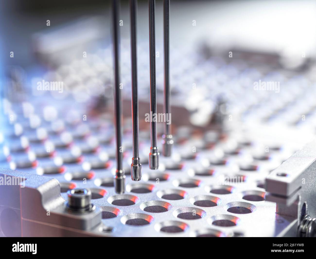 Analyse d'échantillons dans des microplaques à l'aide de la robotique d'automatisation en laboratoire Banque D'Images