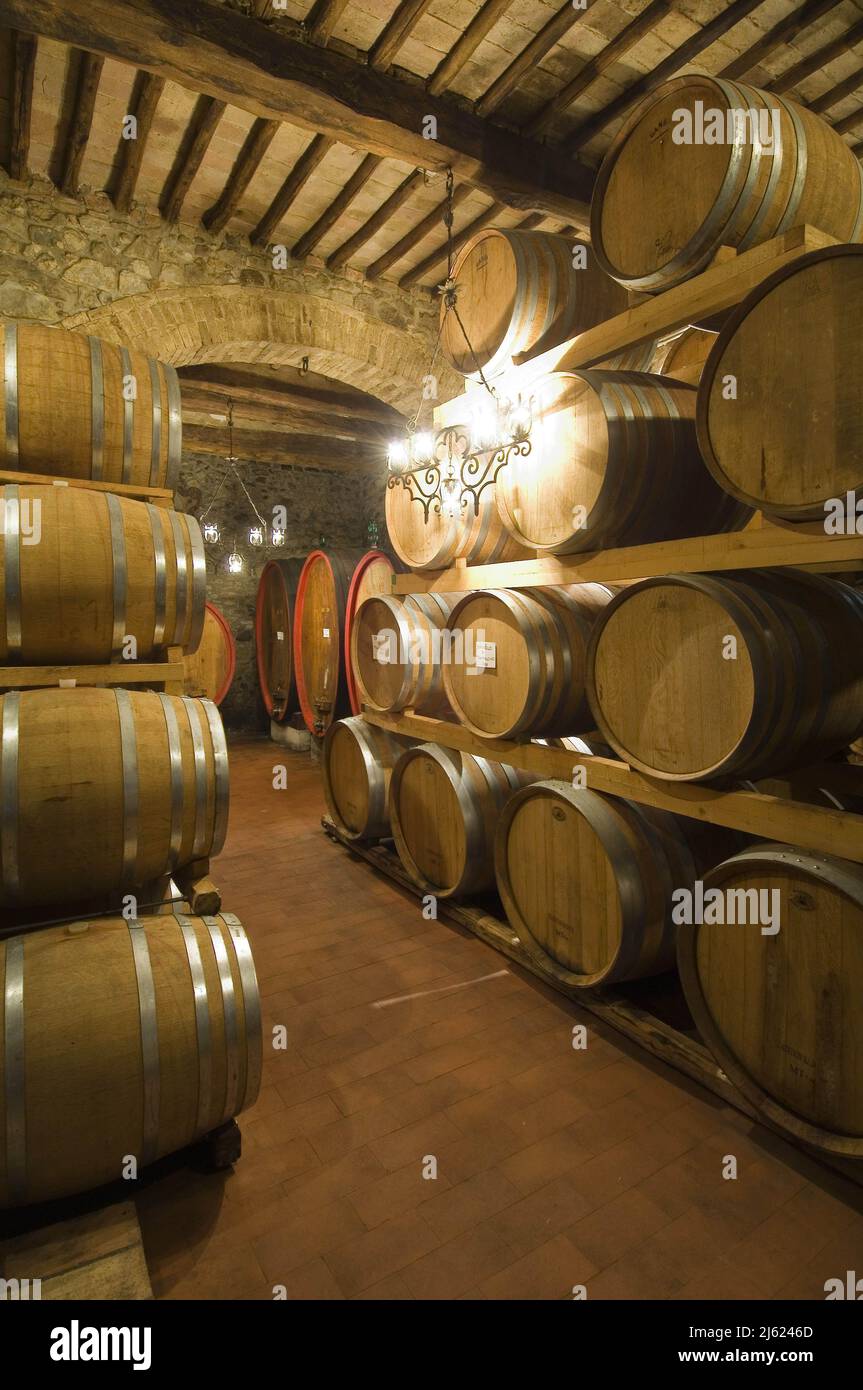 Italie, Toscane, Montalcino (Sienne), Colle al Marchese, Conti Costanti  Winery, Cave avec fûts de vin Brunello di Montalcino photo © Sandro Mic  Photo Stock - Alamy