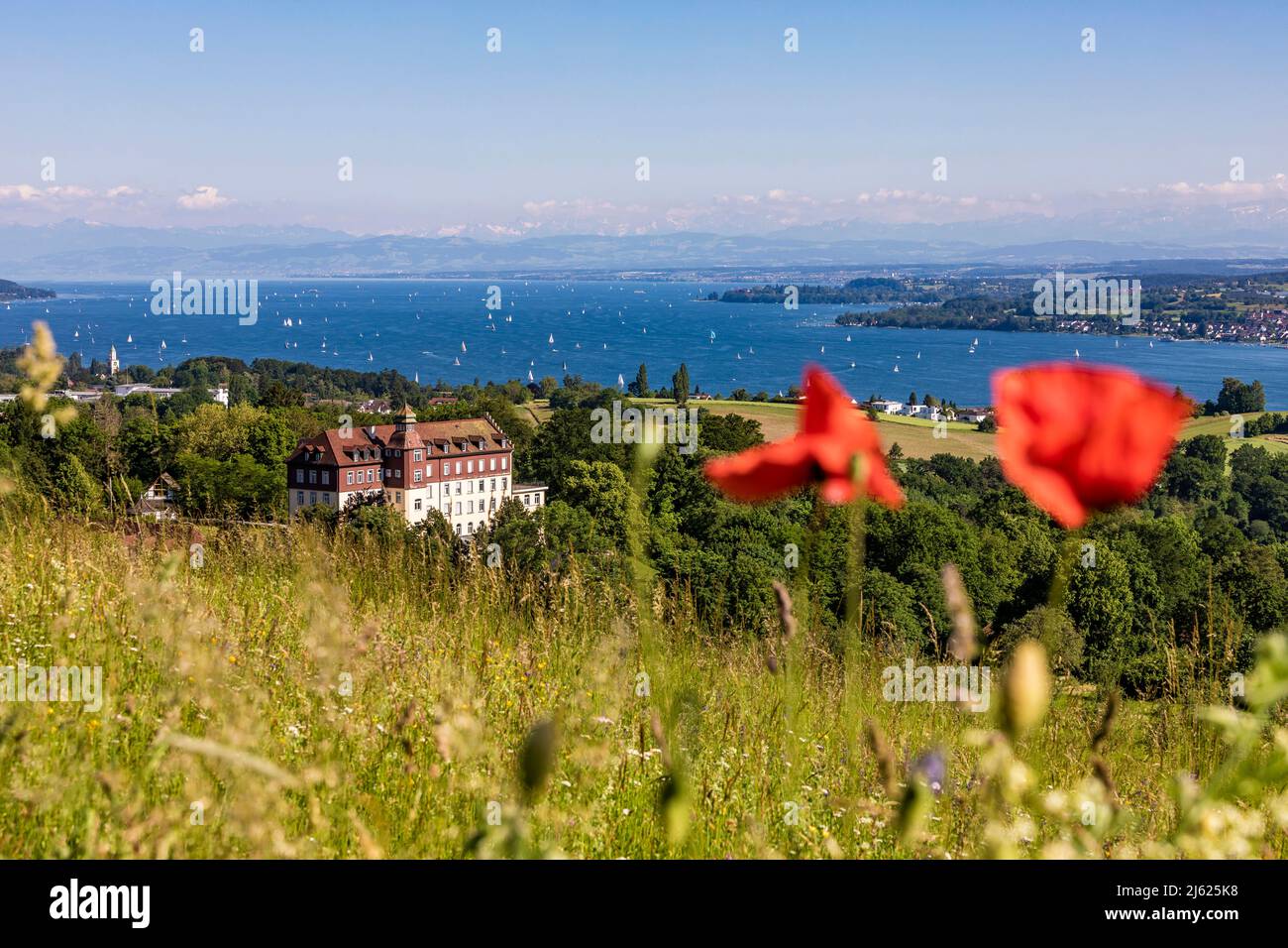 Allemagne, Bade-Wurtemberg, Uberlingen, Salem International College et Lac de Constance vu de Hodinger Hohe en été Banque D'Images