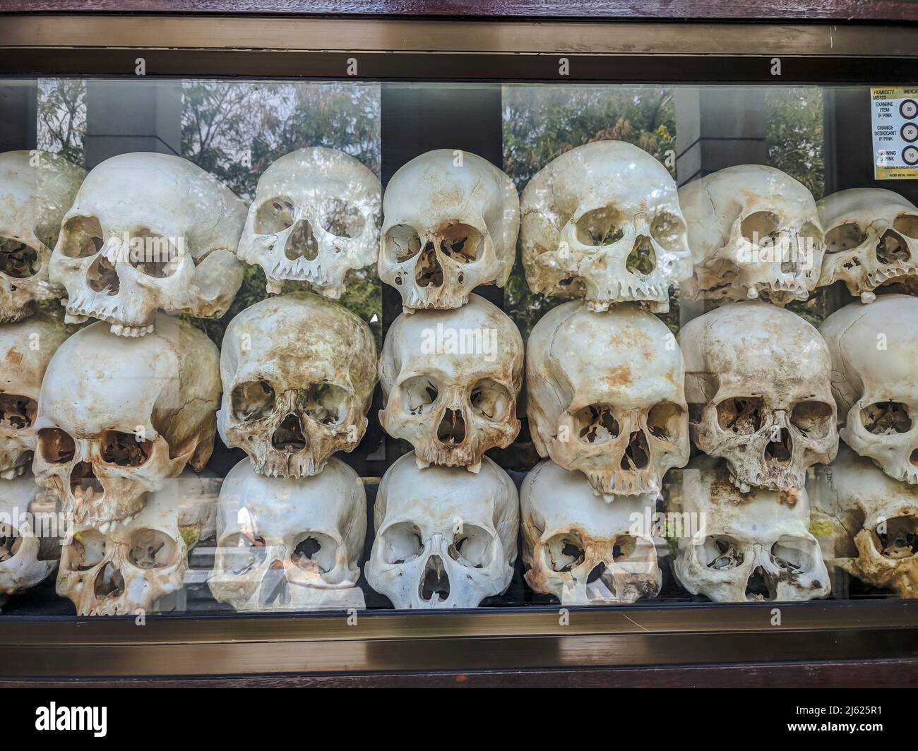 Les crânes de victimes sont empilés à l'intérieur de la stupa du mémorial au Centre de génocide des champs de meurtre de Choeung Ek, à Phnom Penh, au Cambodge Banque D'Images