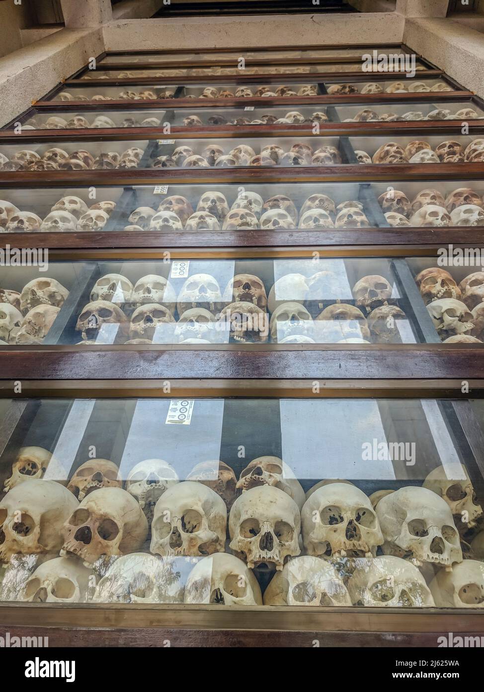 Les crânes de victimes sont empilés à l'intérieur de la stupa du mémorial au Centre de génocide des champs de meurtre de Choeung Ek, à Phnom Penh, au Cambodge Banque D'Images