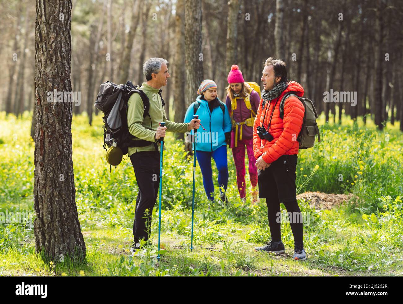 Les hommes qui parlent les uns avec les autres debout devant les femmes qui marchent dans la forêt Banque D'Images