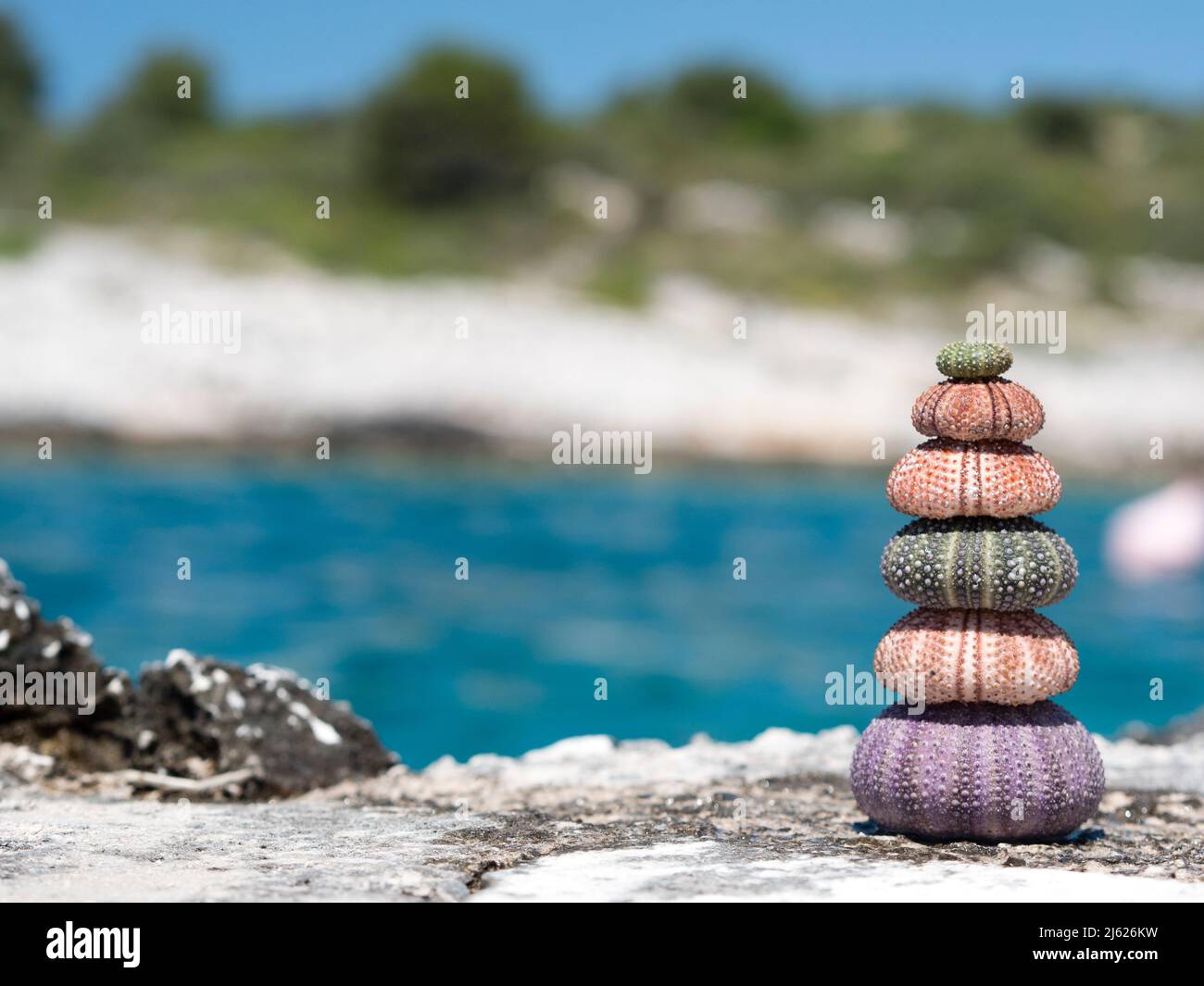 l'image montre une pile de coquillages naturels d'oursin de mer avec bleu océan et fond de plage en vacances avec l'île à l'arrière-plan Banque D'Images