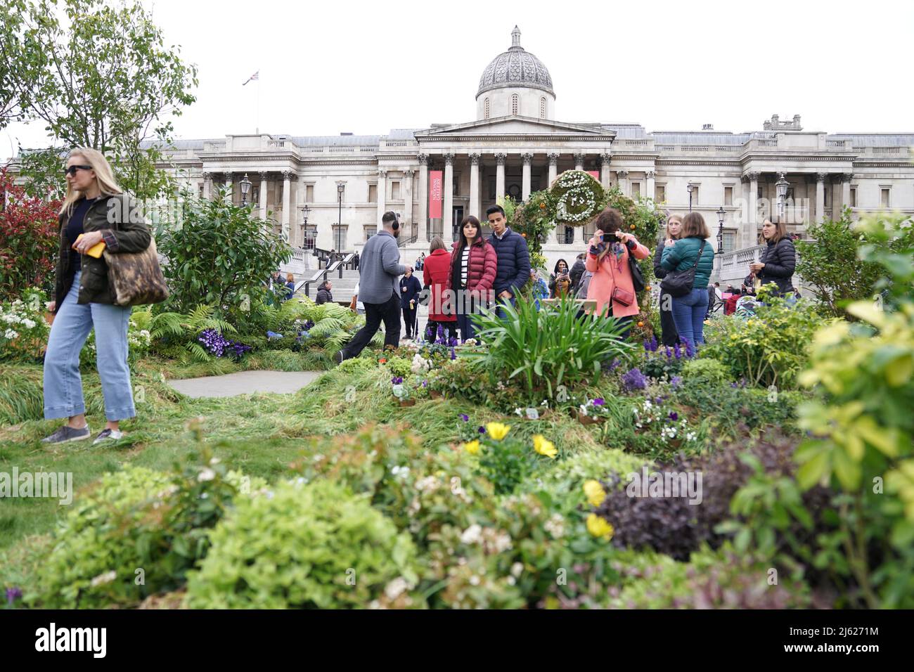 Trafalgar Square, dans le centre de Londres, est couvert de plantes et de fleurs lors du lancement d'une initiative visant à resauvage et à protéger 2 millions d'hectares de terres. L'installation temporaire, qui est composée de plus de 6000 plantes, fleurs et arbres, vise à sensibiliser à l'importance de la biodiversité dans les espaces urbains, les visiteurs du site étant invités à ramasser et à rentrer une des plantes. Date de la photo: Mercredi 27 avril 2022. Banque D'Images