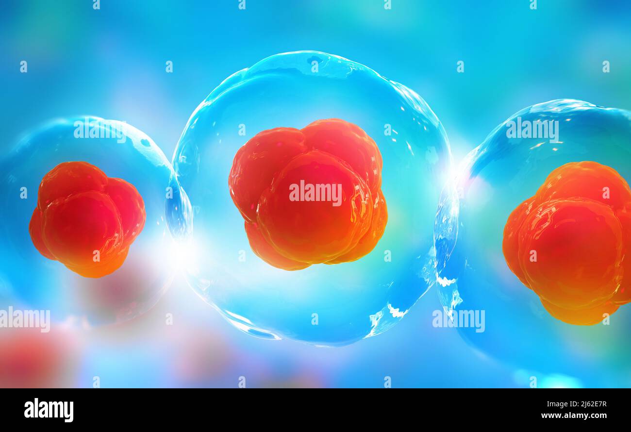 Recherche de cellules souches. Cellules sous microscope. Thérapie cellulaire. Division cellulaire. 3d illustration sur fond clair Banque D'Images