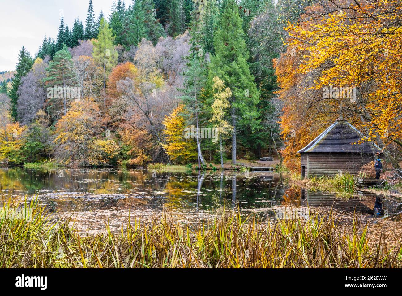 Couleurs d'automne, hangar à bateaux Loch Dunmore dans la forêt de Faskally près de Pitlochry dans le Perthshire, Écosse, Royaume-Uni Banque D'Images