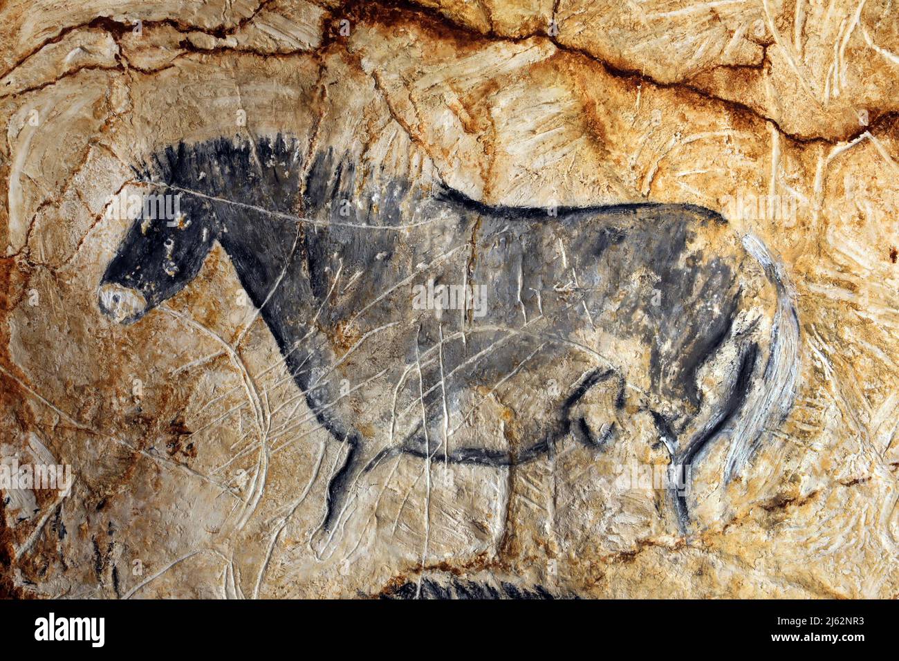 La grotte Cosquer est un Trésor archéologique submergé dans la crique de Marseille. Cette grotte découverte en 1990s par le plongeur Henri Cosquer comprend plus de 270 œuvres d'art préhistoriques, y compris des représentations uniques de pingouins, de phoques et de méduses.en raison de l'élévation des eaux due au réchauffement climatique, la grotte disparaîtra. La construction de sa réponse restera à l'avenir le seul témoignage de ce Trésor de l'humanité. Construite dans le bâtiment de la villa méditerranéenne de Marseille, l'ouverture au public est prévue le 4 juin 2022. Marseille, sud de la France, Banque D'Images