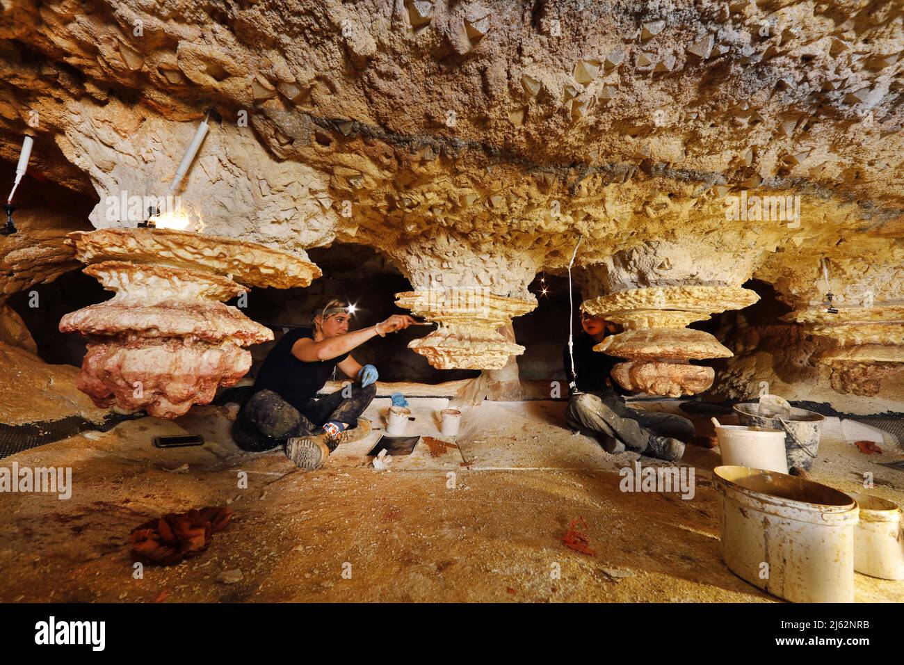 La grotte Cosquer est un Trésor archéologique submergé dans la crique de Marseille. Cette grotte découverte en 1990s par le plongeur Henri Cosquer comprend plus de 270 œuvres d'art préhistoriques, y compris des représentations uniques de pingouins, de phoques et de méduses.en raison de l'élévation des eaux due au réchauffement climatique, la grotte disparaîtra. La construction de sa réponse restera à l'avenir le seul témoignage de ce Trésor de l'humanité. Construite dans le bâtiment de la villa méditerranéenne de Marseille, l'ouverture au public est prévue le 4 juin 2022. Marseille, sud de la France, Banque D'Images