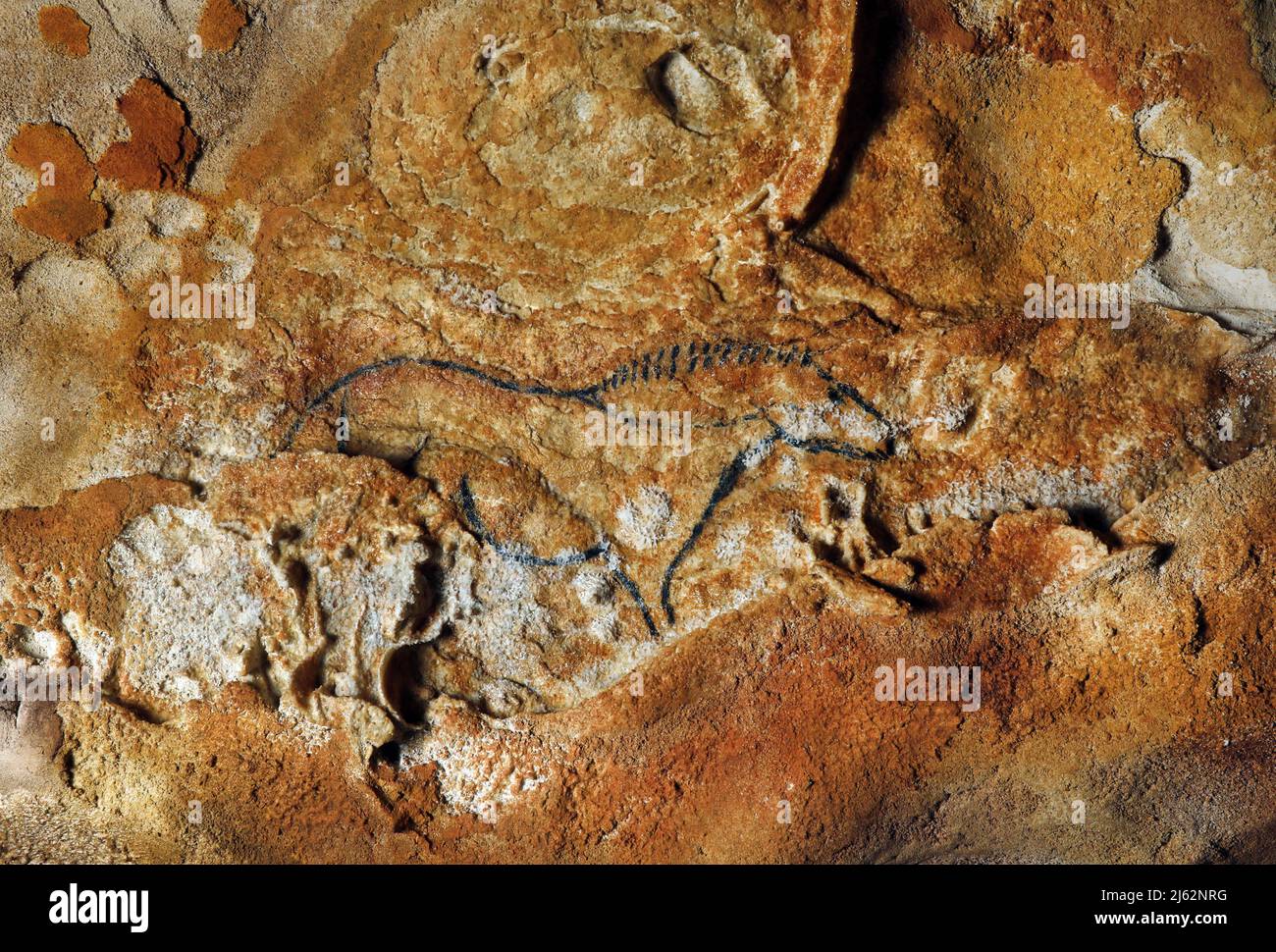 La grotte Cosquer est un Trésor archéologique submergé dans la crique de Marseille. Cette grotte découverte en 1990s par le plongeur Henri Cosquer comprend plus de 270 œuvres d'art préhistoriques, y compris des représentations uniques de pingouins, de phoques et de méduses.en raison de l'élévation des eaux due au réchauffement climatique, la grotte disparaîtra. La construction de sa réponse restera à l'avenir le seul témoignage de ce Trésor de l'humanité. Construite dans le bâtiment de la villa méditerranéenne de Marseille, l'ouverture au public est prévue le 4 juin 2022. Marseille, sud de la France, Banque D'Images