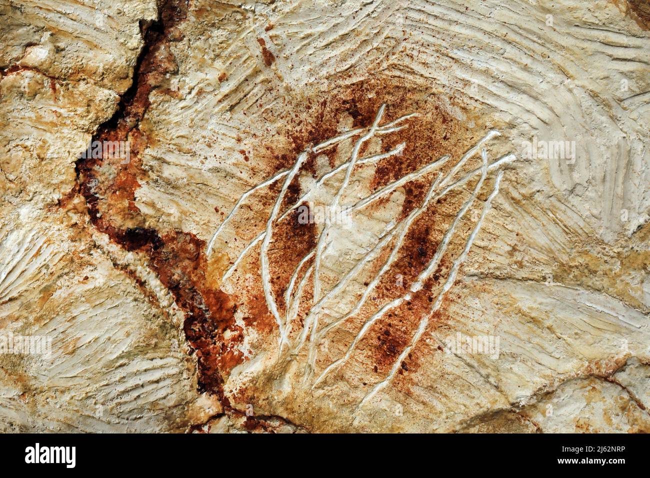 La grotte Cosquer est un Trésor archéologique submergé dans la crique de Marseille. Cette grotte découverte en 1990s par le plongeur Henri Cosquer comprend plus de 270 œuvres d'art préhistoriques, y compris des représentations uniques de pingouins, de phoques et de méduses.en raison de l'élévation des eaux due au réchauffement climatique, la grotte disparaîtra. La construction de sa réponse restera à l'avenir le seul témoignage de ce Trésor de l'humanité. Construite dans le bâtiment de la villa méditerranéenne de Marseille, l'ouverture au public est prévue le 4 juin 2022. Marseille, sud de la France, Banque D'Images
