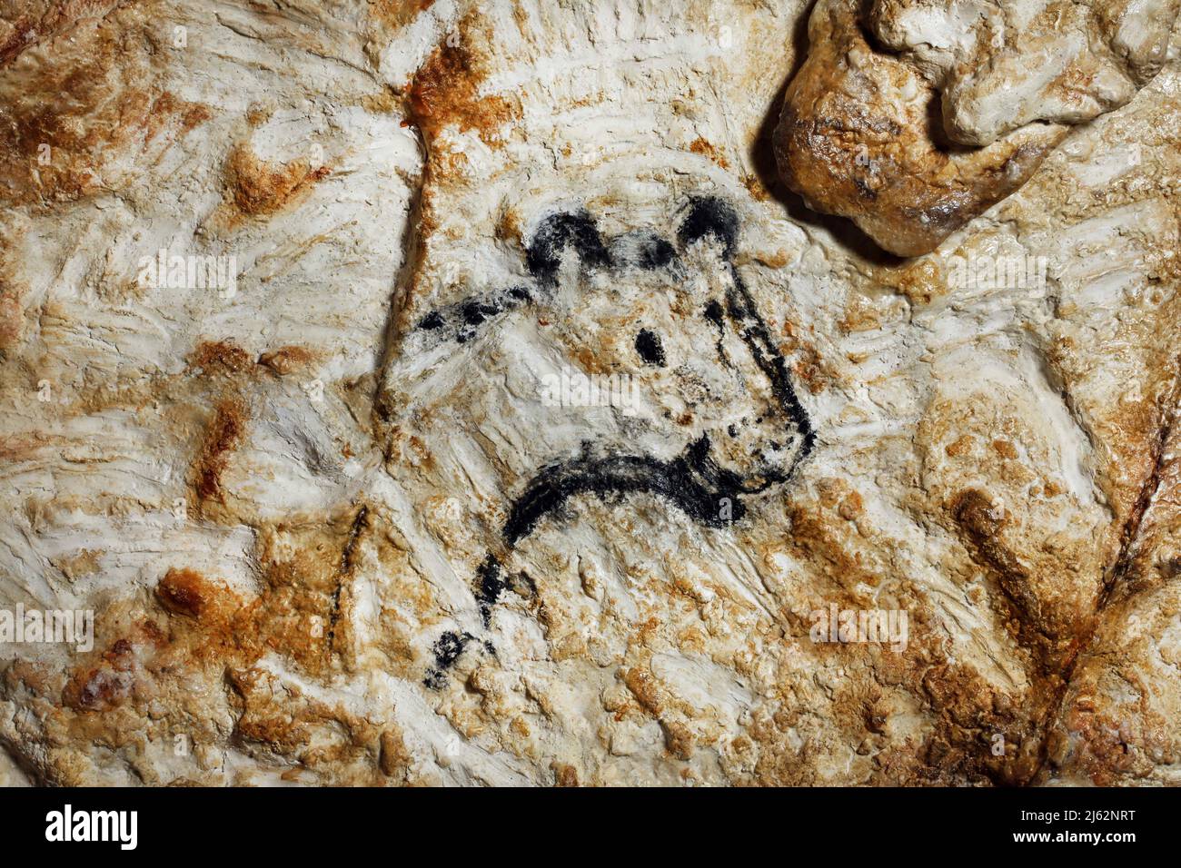 La grotte Cosquer est un Trésor archéologique submergé dans la crique de Marseille. Cette grotte découverte en 1990s par le plongeur Henri Cosquer comprend plus de 270 œuvres d'art préhistoriques, y compris des représentations uniques de pingouins, de phoques et de méduses.en raison de l'élévation des eaux due au réchauffement climatique, la grotte disparaîtra. La construction de sa réponse restera à l'avenir le seul témoignage de ce Trésor de l'humanité. Construite dans le bâtiment de la villa méditerranéenne de Marseille, l'ouverture au public est prévue le 4 juin 2022. Marseille, sud de la France, Banque D'Images
