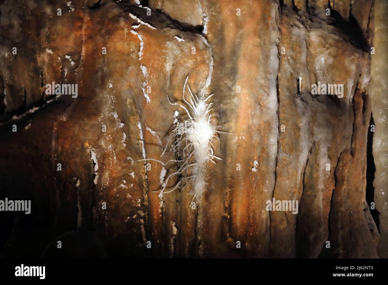 La grotte Cosquer est un Trésor archéologique submergé dans la crique de Marseille. Cette grotte découverte en 1990s par le plongeur Henri Cosquer comprend plus de 270 œuvres d'art préhistoriques, y compris des représentations uniques de pingouins, de phoques et de méduses.en raison de l'élévation des eaux due au réchauffement climatique, la grotte disparaîtra. La construction de sa réponse restera à l'avenir le seul témoignage de ce Trésor de l'humanité. Construite dans le bâtiment de la villa méditerranéenne de Marseille, l'ouverture au public est prévue le 4 juin 2022. Marseille, sud de la France, Banque D'Images