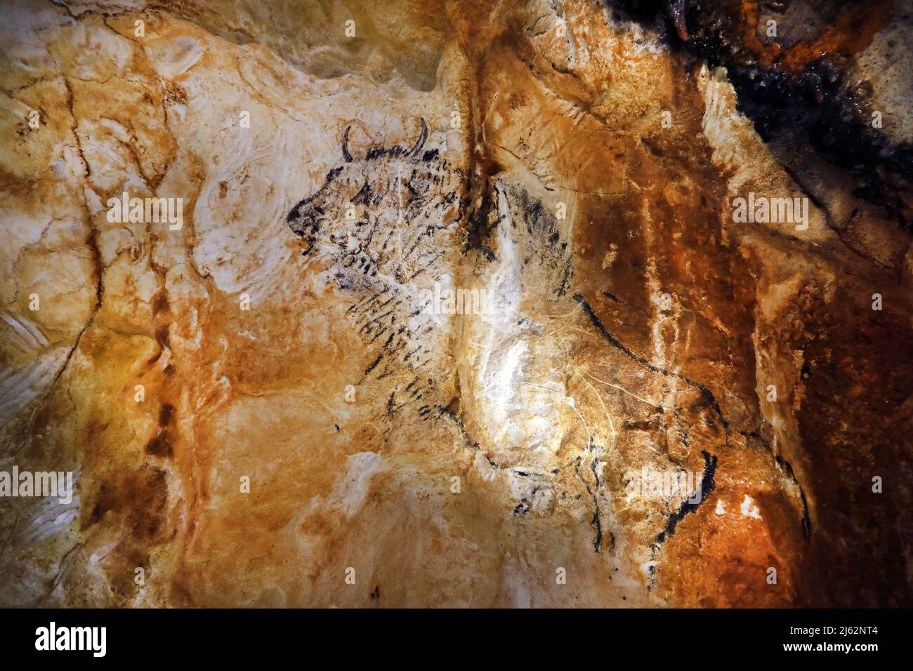 La grotte Cosquer est un Trésor archéologique submergé dans la crique de Marseille. Cette grotte découverte en 1990s par le plongeur Henri Cosquer comprend plus de 270 œuvres d'art préhistoriques, y compris des représentations uniques de pingouins, de phoques et de méduses.en raison de l'élévation des eaux due au réchauffement climatique, la grotte disparaîtra. La construction de sa réponse restera à l'avenir le seul témoignage de ce Trésor de l'humanité. Construite dans le bâtiment de la villa méditerranéenne de Marseille, l'ouverture au public est prévue le 4 juin 2022. Marseille, sud de la France, Banque D'Images