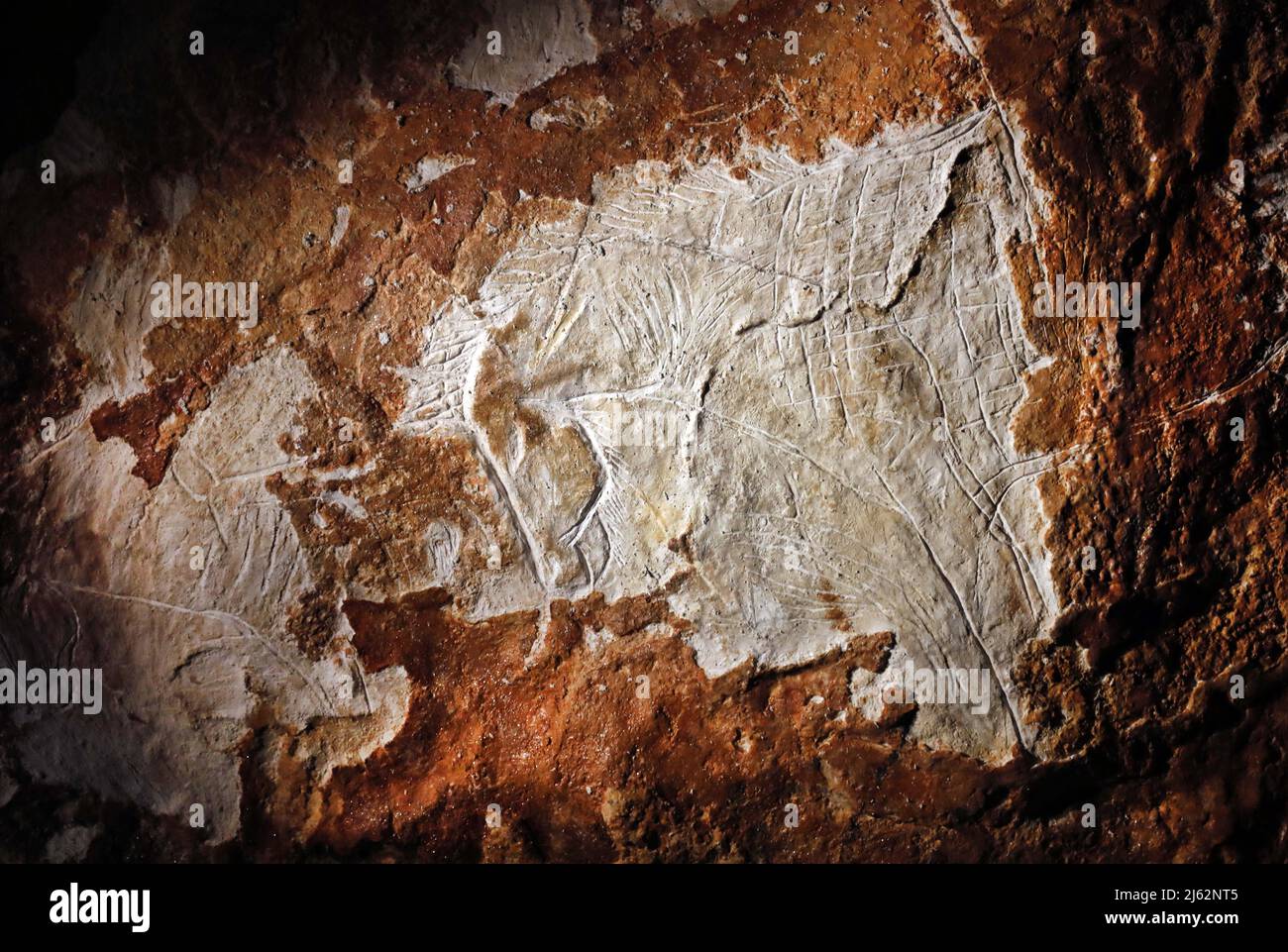 La grotte Cosquer est un Trésor archéologique submergé dans la crique de Marseille. Cette grotte découverte en 1990s par le plongeur Henri Cosquer comprend plus de 270 œuvres d'art préhistoriques, y compris des représentations uniques de pingouins, de phoques et de méduses.en raison de l'élévation des eaux due au réchauffement climatique, la grotte disparaîtra. La construction de sa réponse restera à l'avenir le seul témoignage de ce Trésor de l'humanité. Construite dans le bâtiment de la villa méditerranéenne de Marseille, l'ouverture au public est prévue le 4 juin 2022. Marseille, sud de la France, Banque D'Images