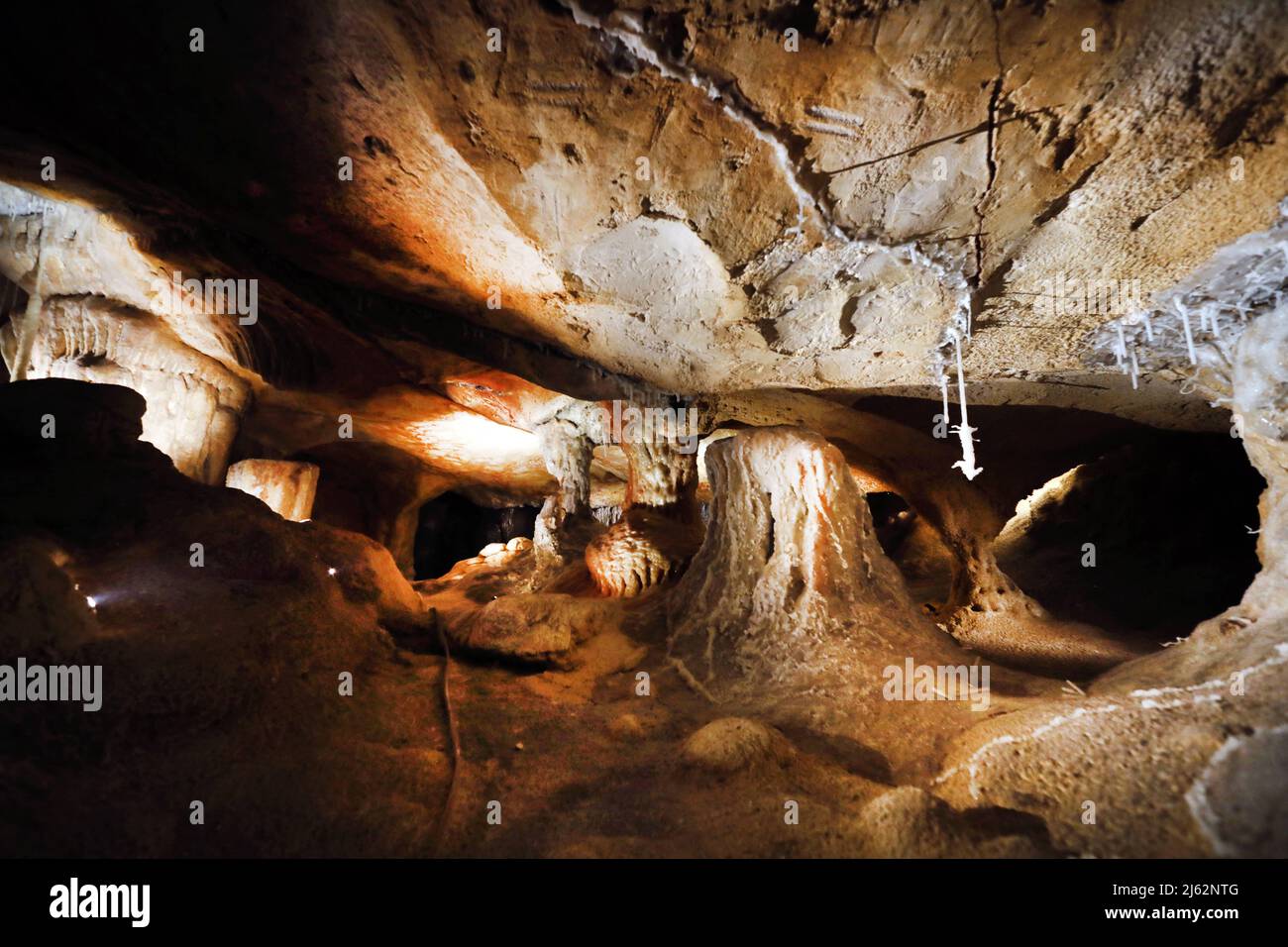 La grotte Cosquer est un Trésor archéologique submergé dans la crique de Marseille. Cette grotte découverte en 1990s par le plongeur Henri Cosquer comprend plus de 270 œuvres d'art préhistoriques, y compris des représentations uniques de pingouins, de phoques et de méduses.en raison de l'élévation des eaux due au réchauffement climatique, la grotte disparaîtra. La construction de sa réponse restera à l'avenir le seul témoignage de ce Trésor de l'humanité. Construite dans le bâtiment de la villa méditerranéenne de Marseille, l'ouverture au public est prévue le 4 juin 2022. Marseille, sud de la France, Banque D'Images