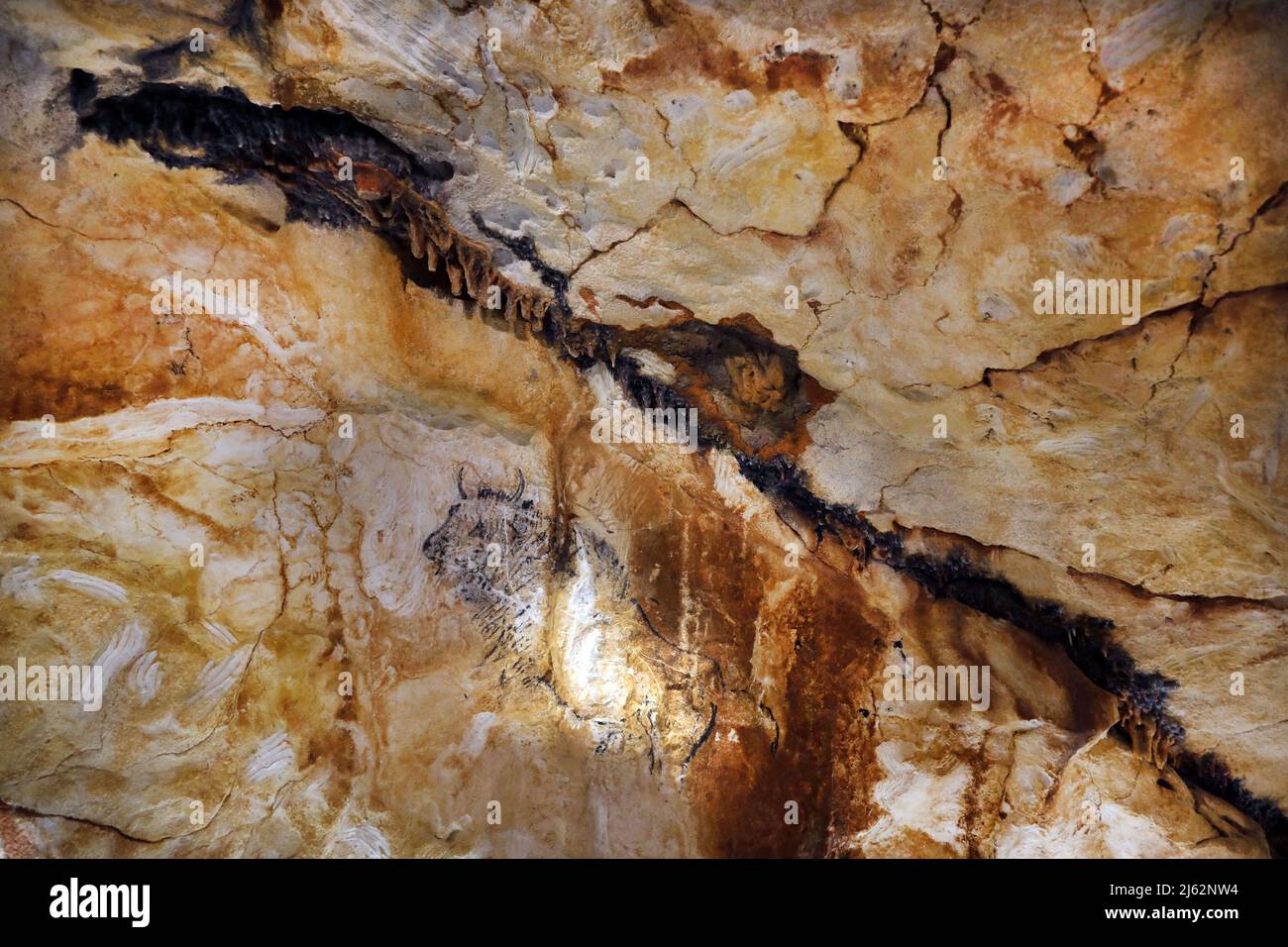 La grotte Cosquer est un Trésor archéologique submergé dans la crique de Marseille. Cette grotte découverte en 1990s par le plongeur Henri Cosquer comprend plus de 270 œuvres d'art préhistoriques, y compris des représentations uniques de pingouins, de phoques et de méduses.en raison de l'élévation des eaux due au réchauffement climatique, la grotte disparaîtra. La construction de sa réponse restera à l'avenir le seul témoignage de ce Trésor de l'humanité. Construite dans le bâtiment de la villa méditerranéenne de Marseille, l'ouverture au public est prévue le 4 juin 2022. Marseille, sud de la France, Banque D'Images