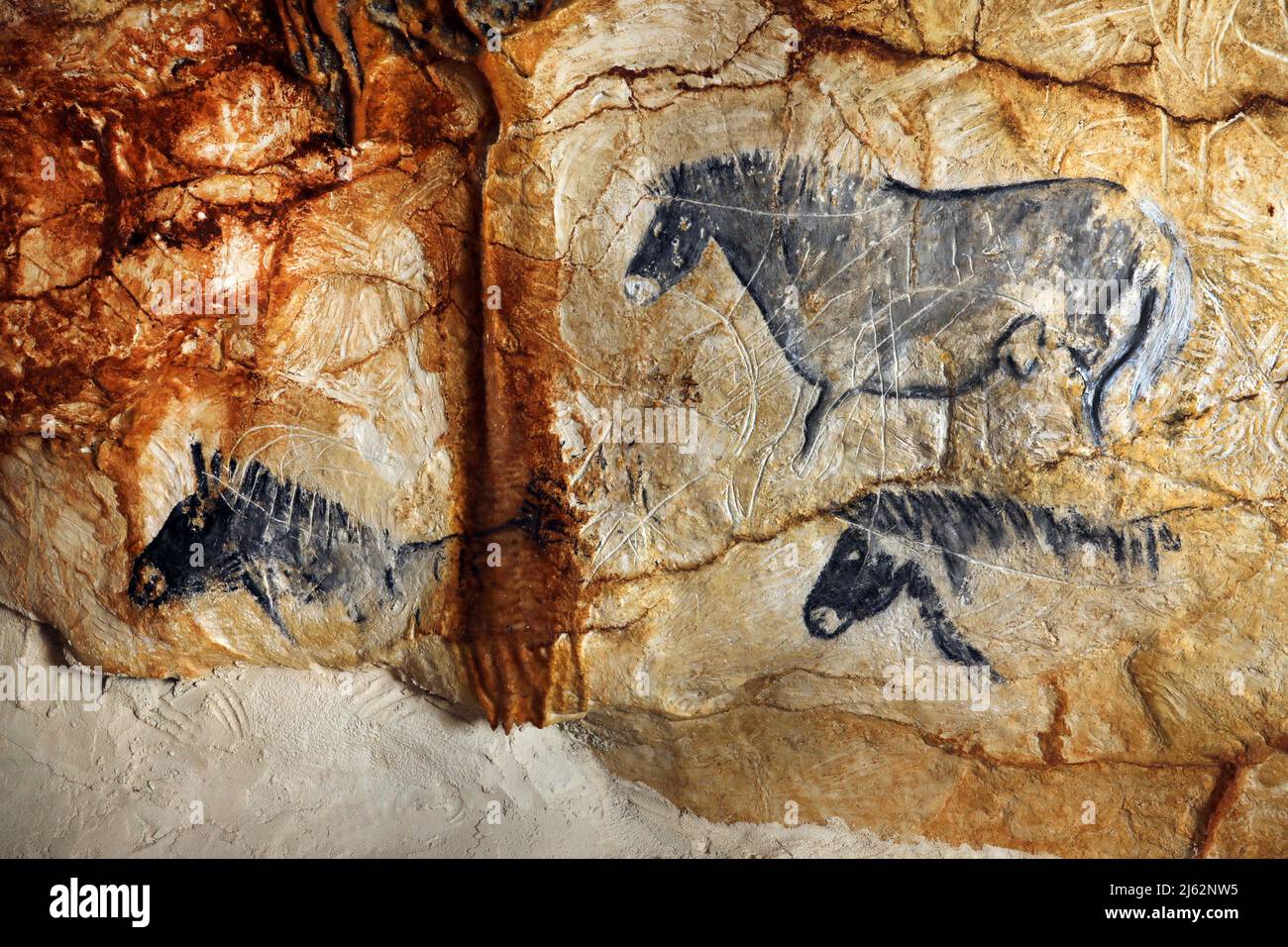 La grotte Cosquer est un Trésor archéologique submergé dans la crique de Marseille. Cette grotte découverte en 1990s par le plongeur Henri Cosquer comprend plus de 270 œuvres d'art préhistoriques, y compris des représentations uniques de pingouins, de phoques et de méduses.en raison de l'élévation des eaux due au réchauffement climatique, la grotte disparaîtra. La construction de sa réponse restera à l'avenir le seul témoignage de ce Trésor de l'humanité. Construite dans le bâtiment de la villa méditerranéenne de Marseille, l'ouverture au public est prévue le 4 juin 2022. Marseille, sud de la France, Banque D'Images