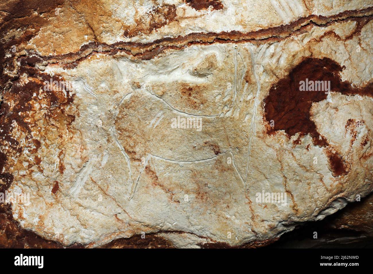 La grotte Cosquer est un Trésor archéologique submergé dans la crique de Marseille. Cette grotte découverte en 1990s par le plongeur Henri Cosquer comprend plus de 270 œuvres d'art préhistoriques, y compris des représentations uniques de pingouins, de phoques et de méduses.en raison de l'élévation des eaux due au réchauffement climatique, la grotte disparaîtra. La construction de sa réponse restera à l'avenir le seul témoignage de ce Trésor de l'humanité. Construite dans le bâtiment de la villa méditerranéenne de Marseille, l'ouverture au public est prévue le 4 juin 2022. Marseille, sud de la France, Banque D'Images