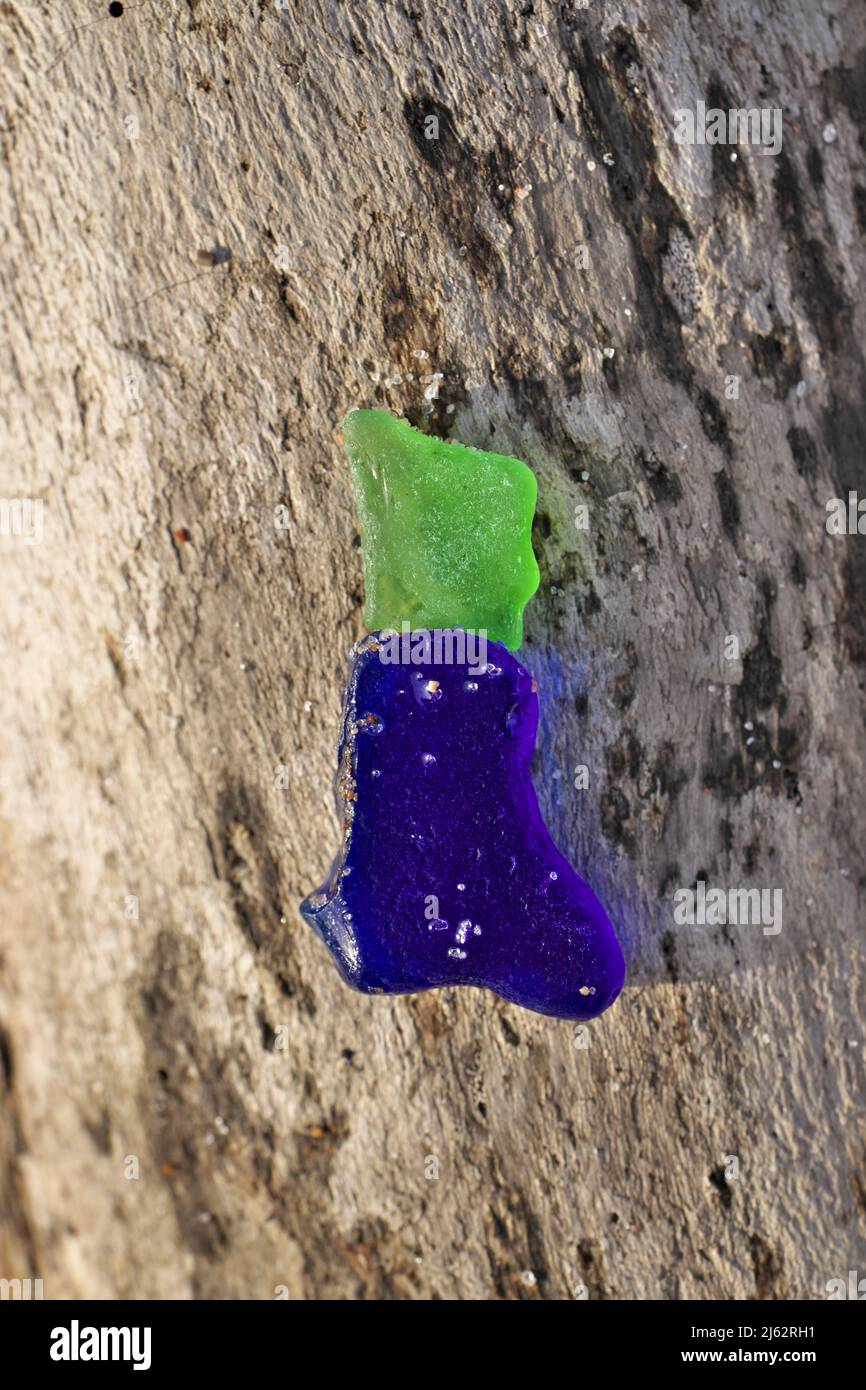 Verre de mer bleu et vert ou verre de plage sur un morceau de bois de grève à la plage Banque D'Images Verre de mer bleu et vert ou verre de plage sur un morceau de bois de grève à la plage Banque D'Images