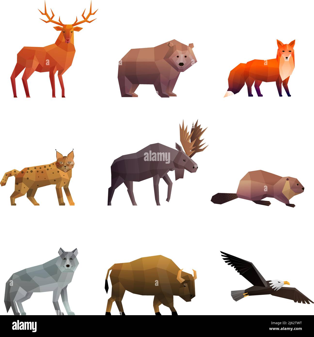 Animaux sauvages du nord des icônes polygonales colorées en 3d avec le loup illustration vectorielle isolée de l'ours renard et de l'aigle Illustration de Vecteur