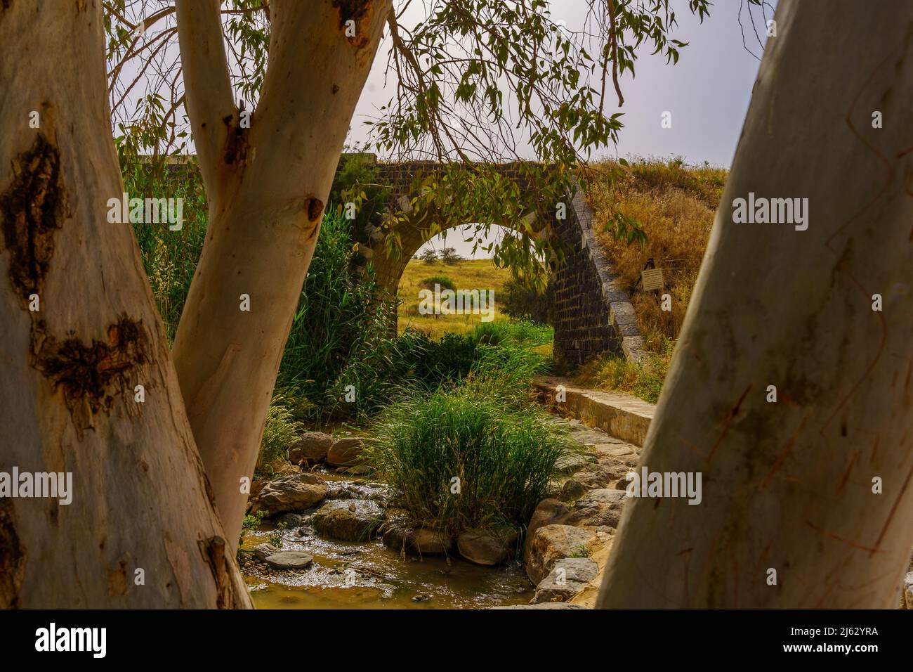 Vue sur un vieux pont ferroviaire au-dessus du ruisseau Yisachar, et Eucalyptus, dans la vallée du Bas Jourdain, dans le nord d'Israël Banque D'Images