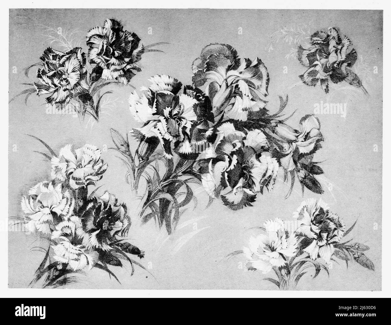 Art par Christian Stoll - Kunstgewerbliche Schmuckformen fourrure Die Flache plate 31 (1920) Banque D'Images