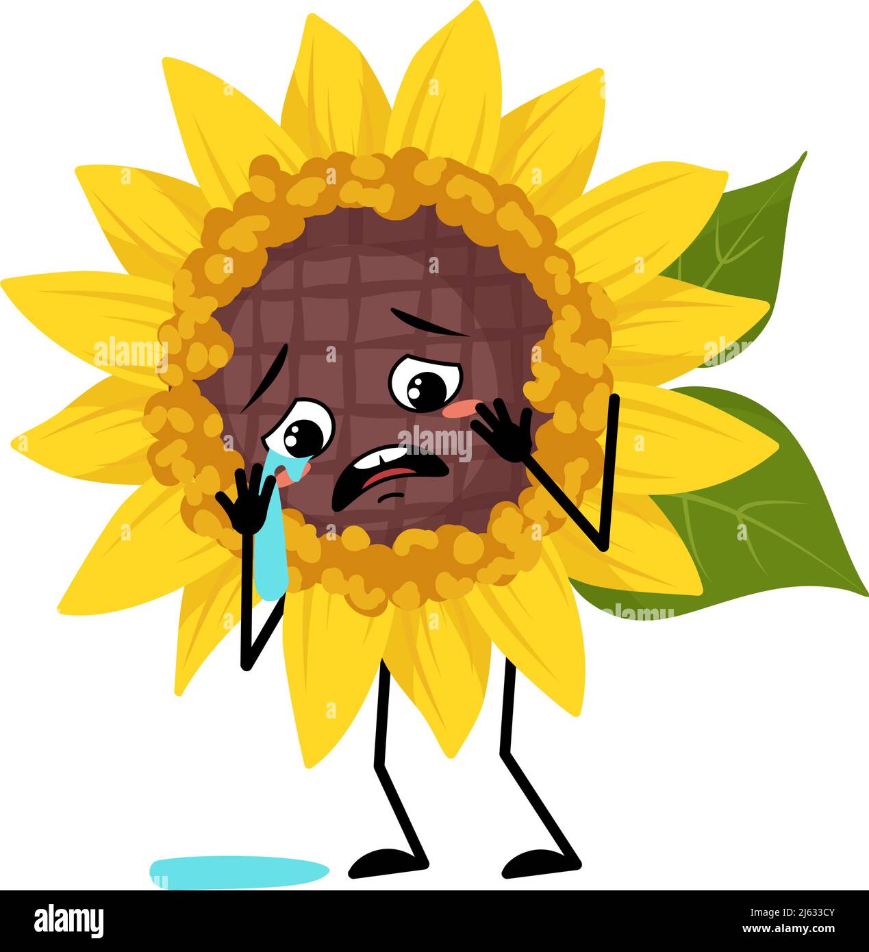 Tournesol caractère avec pleurs et larmes émotion, visage triste, yeux dépressifs, bras et jambes. Plante personne avec expression mélancolique, émoticône de fleur de soleil jaune. Illustration vectorielle plate Illustration de Vecteur