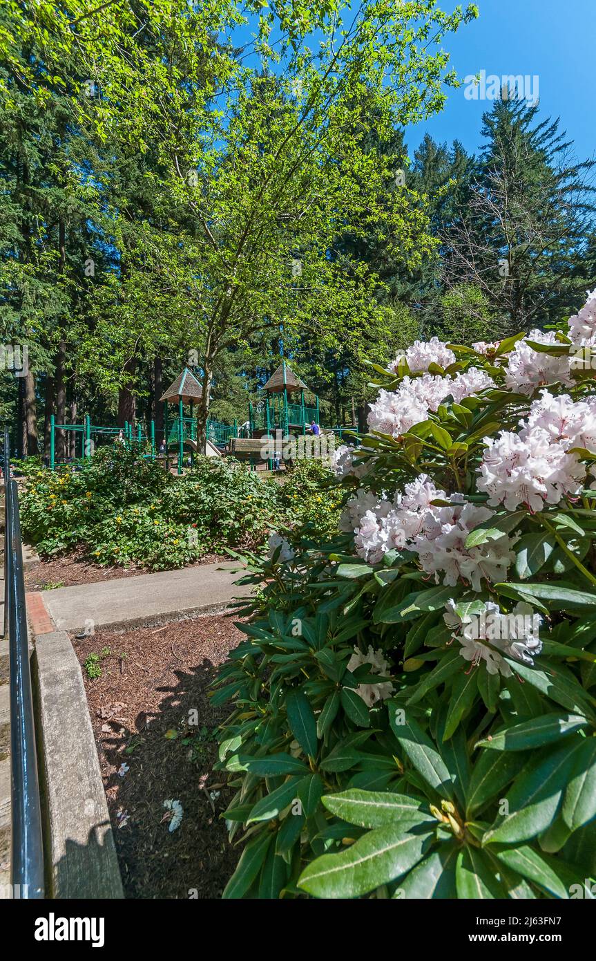 Mt.Tabor Park à Portland, Oregon. Banque D'Images