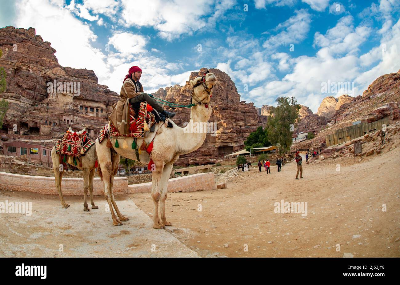 Bédouins sur les chameaux attendant les touristes à Petra Jordanie 19 février 2020 Banque D'Images