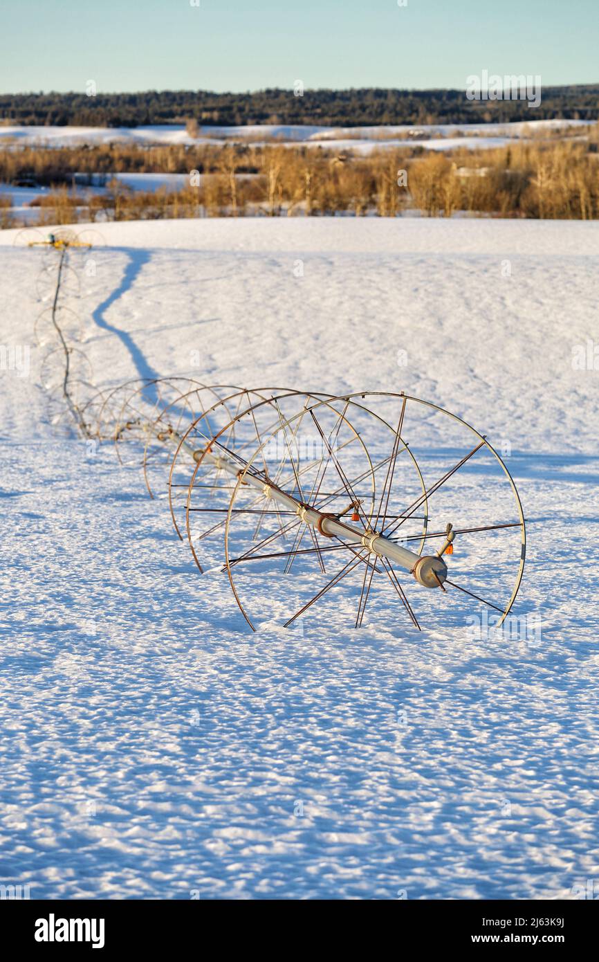 Un arroseur de ligne de roue dans un champ de ferme, en hiver avec de la neige au sol. Banque D'Images