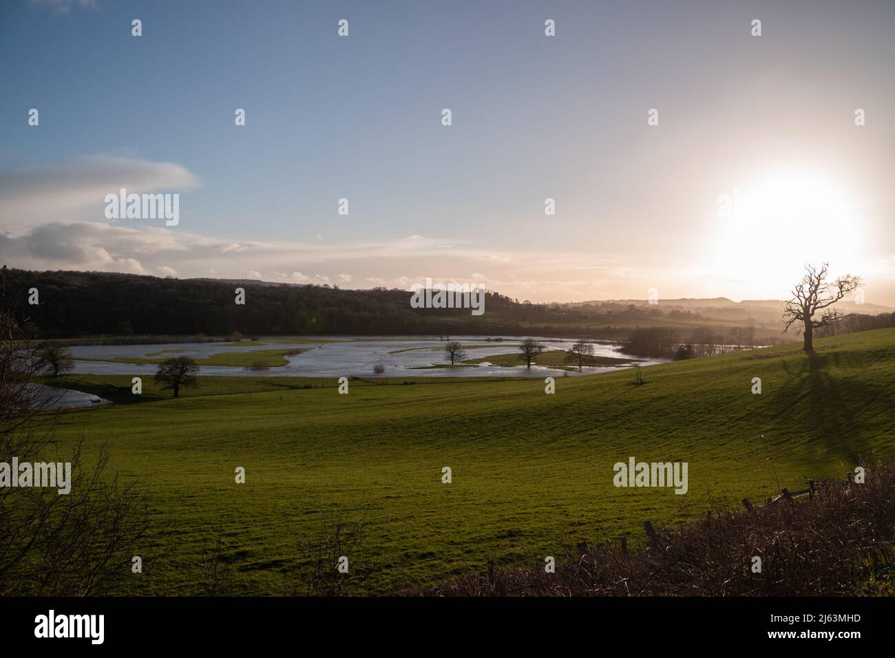 Magnifique paysage avec des rayons de soleil qui s'écoulant sur l'herbe verte luxuriante du champ. Banque D'Images