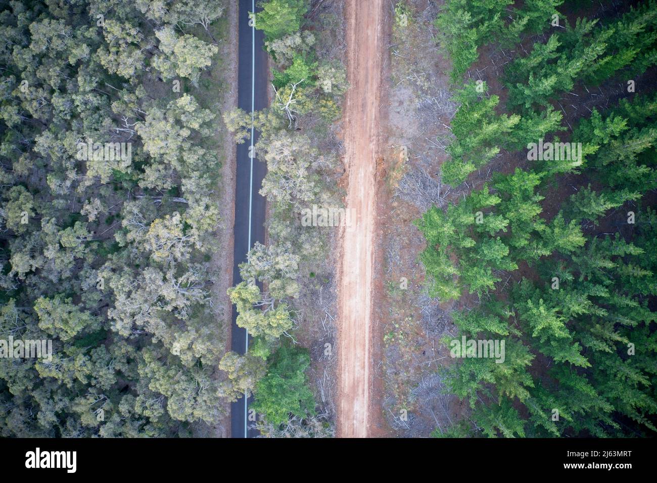 Champ de vision des drones de la forêt de pins et des routes formant des modèles dans la nature en Australie occidentale. Banque D'Images