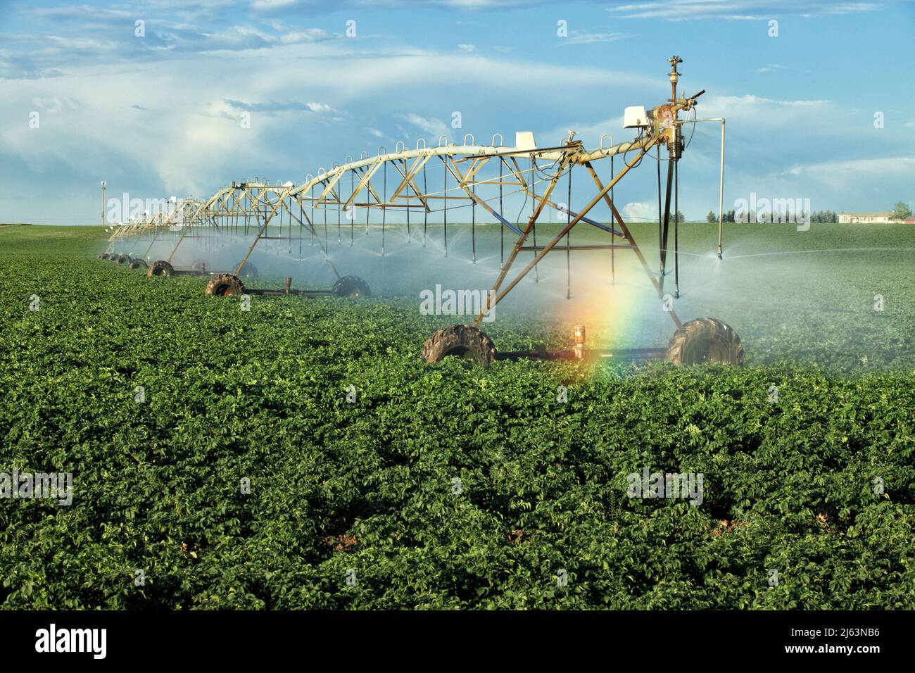 Un arc-en-ciel se forme dans la brume d'une arroseur agricole à pivot central utilisé pour irriguer un champ de pommes de terre de l'Idaho. Banque D'Images