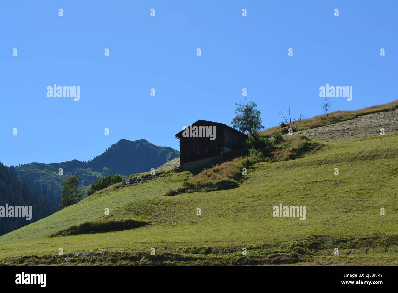 Un chapeau dans les alpes suisses dans le domaine de l'agriculture verte, à  Disentis Photo Stock - Alamy