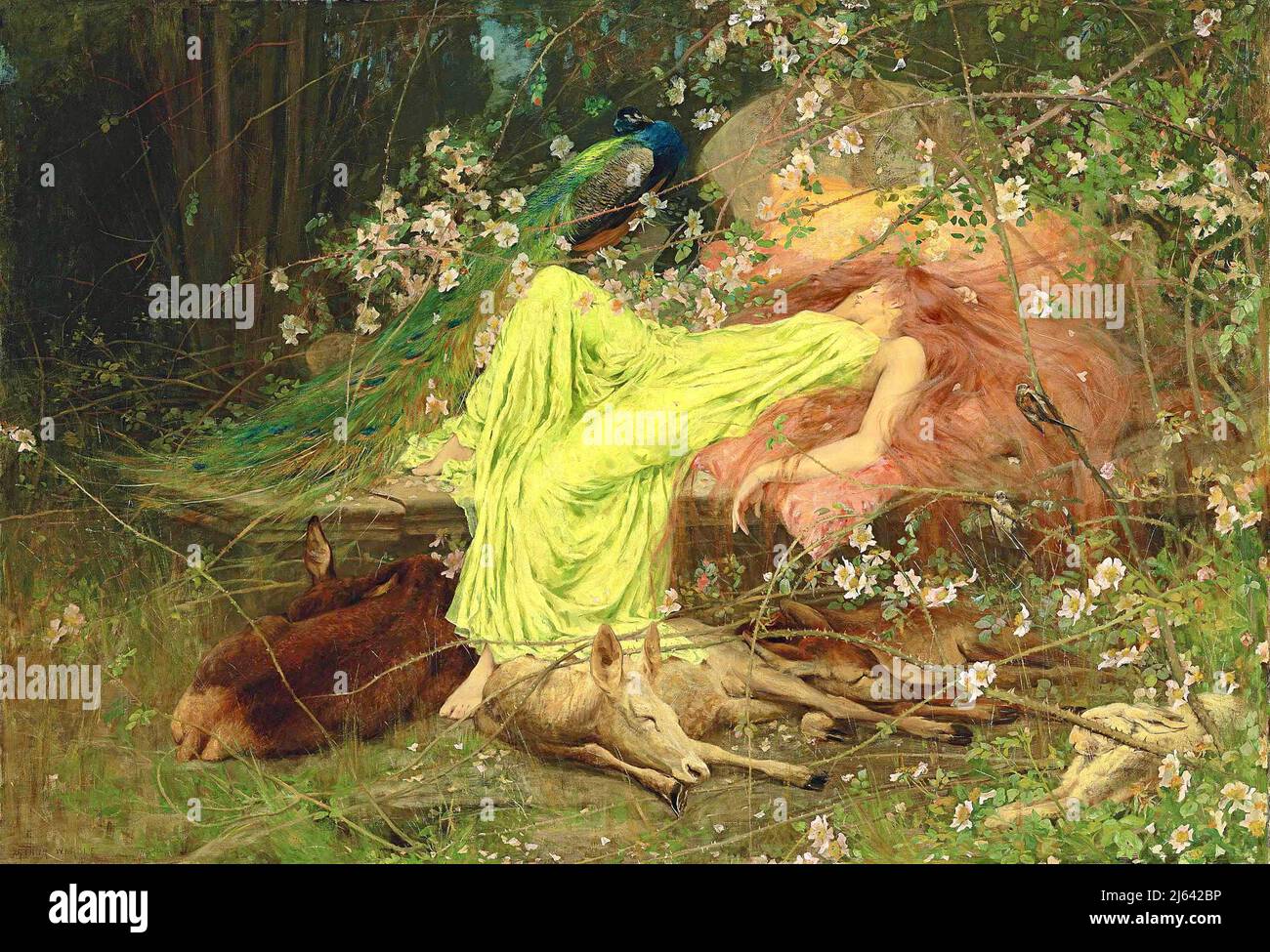 Arthur Wardle - Un conte de fées "tout semblait dormir, le lièvre timide sur la forme" - Scott.- 1895 Banque D'Images