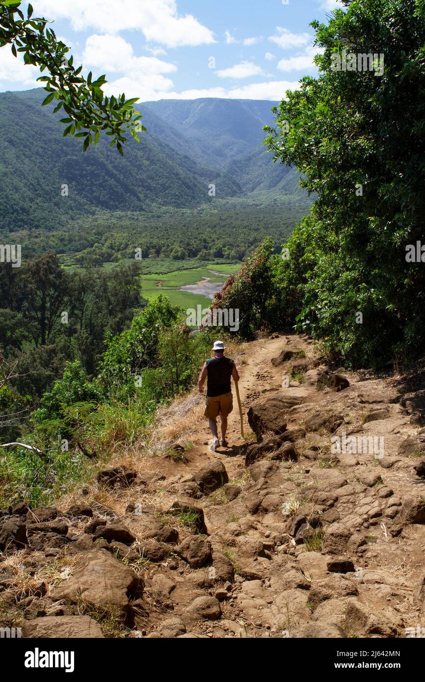 Homme en short avec un bâton de marche en randonnée sur le sentier rocheux dans la vallée de Pololu lors d'une journée ensoleillée sur la grande île d'Hawaï, États-Unis. Banque D'Images