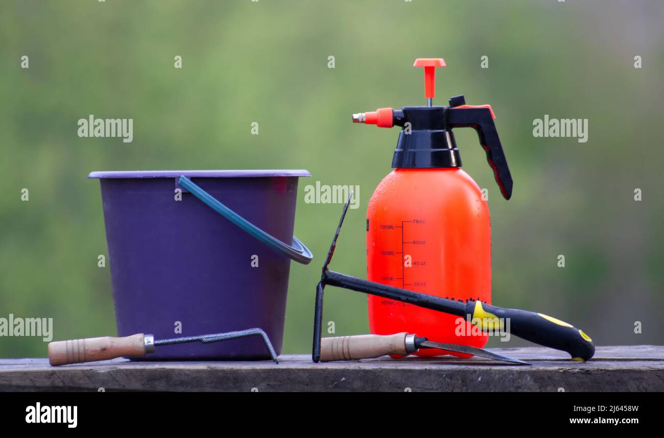 Outils de jardin sur planches en bois. Pulvérisateur à godets et outils de jardin. Banque D'Images