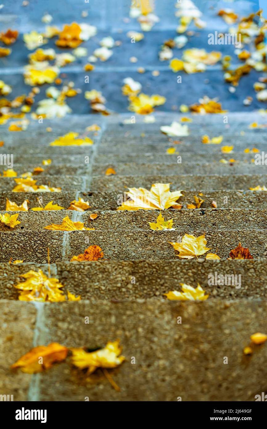 Vieux escalier en pierre avec feuille d'érable d'automne tombée. Paysage pittoresque Banque D'Images