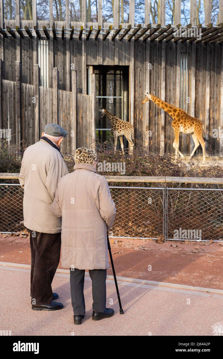 Lyon, France 22 janvier 2019, un couple âgé visite le parc de la tête d'Or dans la ville Banque D'Images Lyon, France 22 janvier 2019, un couple âgé visite le parc de la tête d'Or dans la ville Banque D'Images