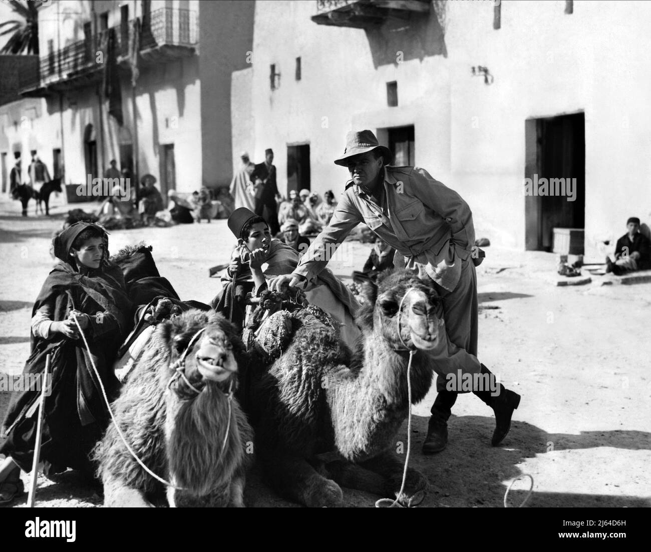 VAN HEFLIN, AU SUD D'ALGER, 1953 Banque D'Images