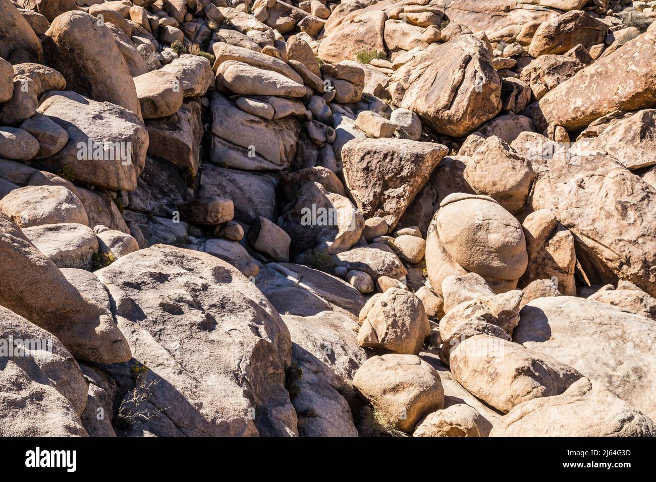 Grands rochers et formations rocheuses dans un canyon près d'Indian Cove et de la zone d'utilisation de Rattlesnake Day, parc national Joshua Tree. Banque D'Images