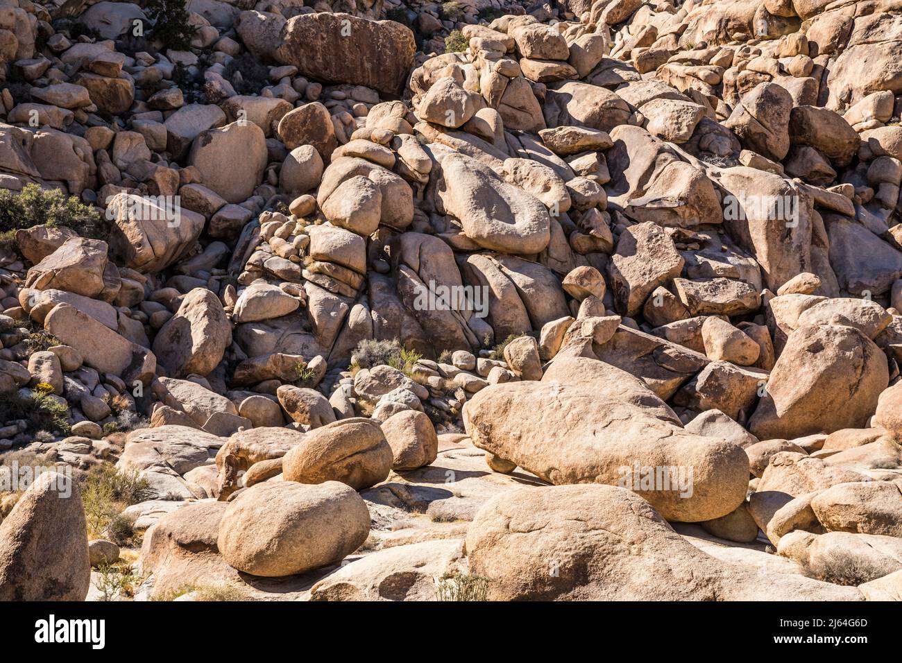 Grands rochers et formations rocheuses dans un canyon près d'Indian Cove et de la zone d'utilisation de Rattlesnake Day, parc national Joshua Tree. Banque D'Images