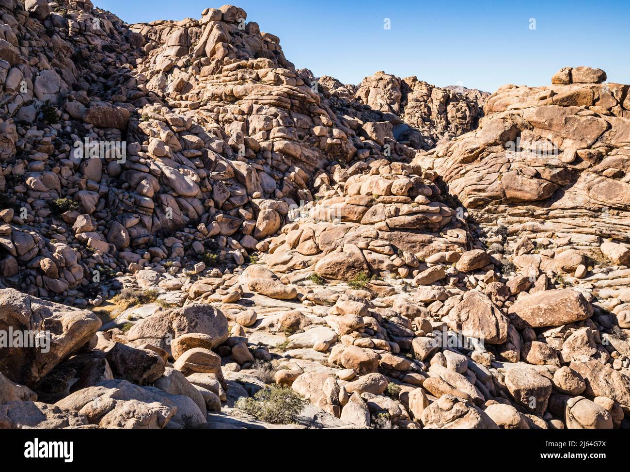 Grands rochers et formations rocheuses dans un canyon près d'Indian Cove et de la zone d'utilisation de Rattlesnake Day, parc national Joshua Tree. Banque D'Images