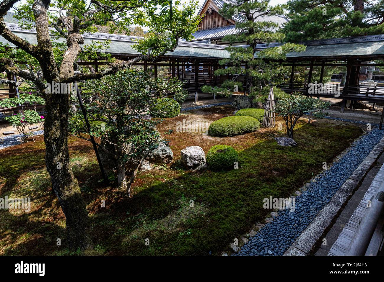 Daikakuji Gosho Corridor de Village Rain - Daikaku-ji est souvent appelé SaganGosho en raison de son lien avec la famille impériale en tant que clo impérial Banque D'Images