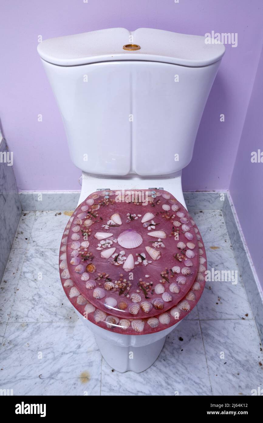 Un siège de toilette en résine de shel de mer attaché à une toilette à l'intérieur d'une maison abandonnée. Banque D'Images