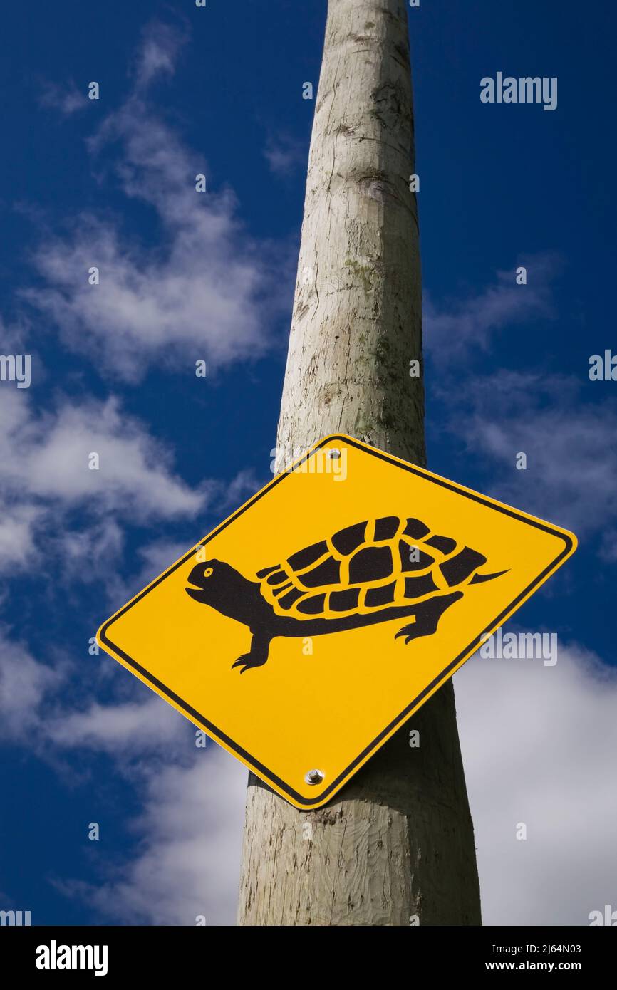 Pictogramme de traversée de tortue jaune et noir sur une barre téléphonique. Banque D'Images