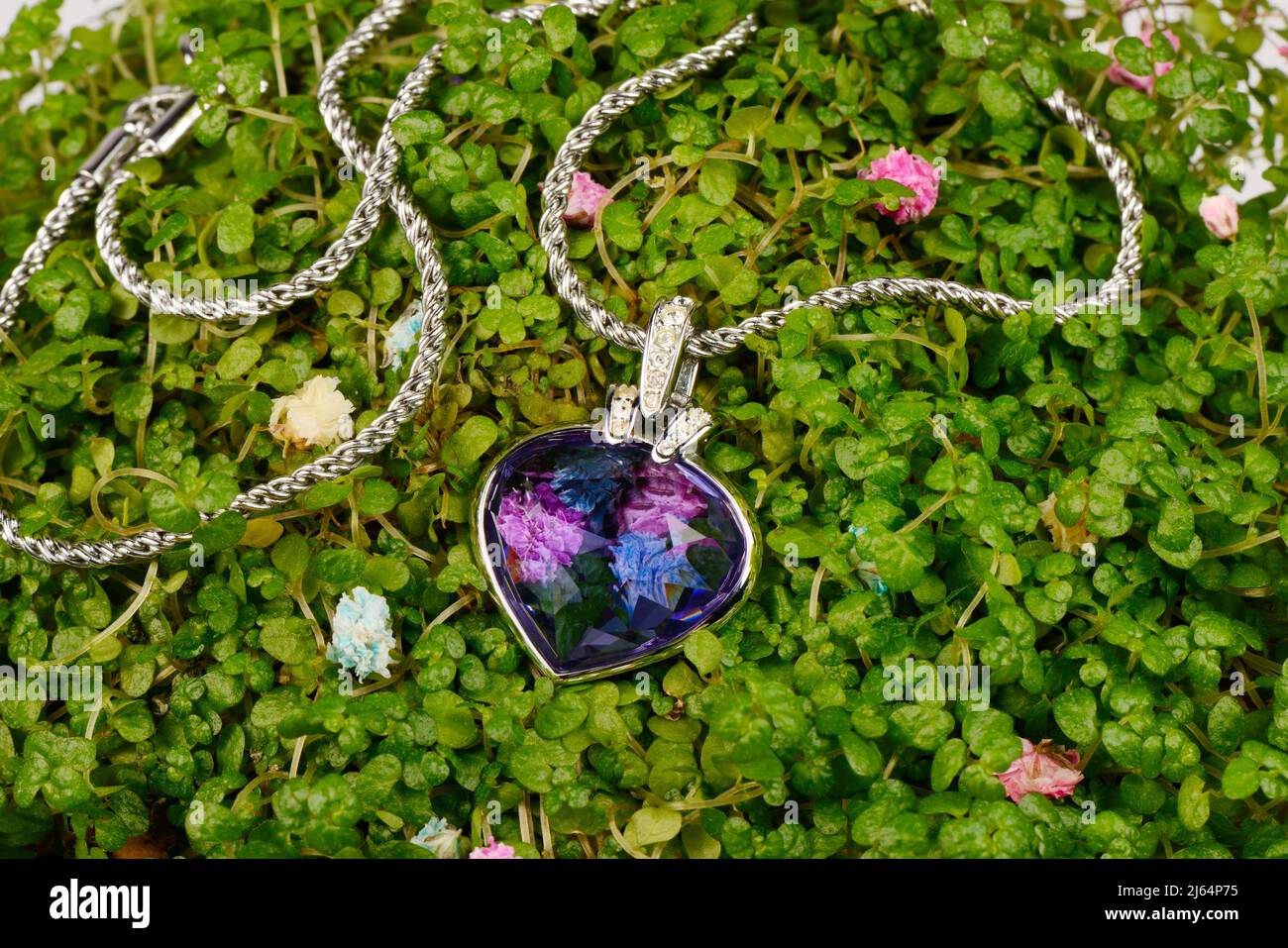 Pendentif en platine pour femmes avec des diamants , sur un peu de feuilles vertes, micro.Bijoux de luxe pour femmes Banque D'Images