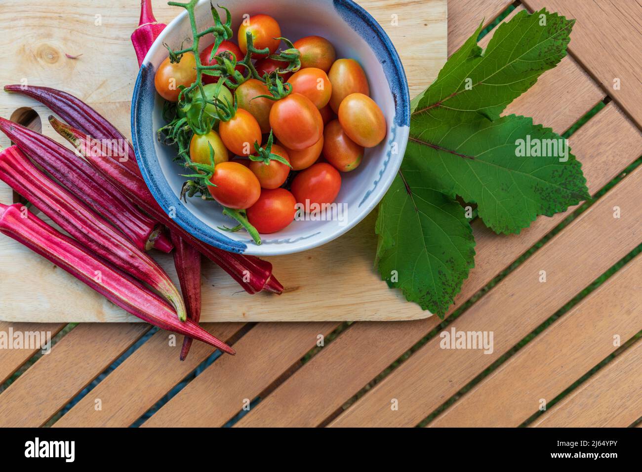 Des gousses d'okra orange Jing récemment récoltées et des tomates raisins plates reposent sur une table extérieure. Banque D'Images