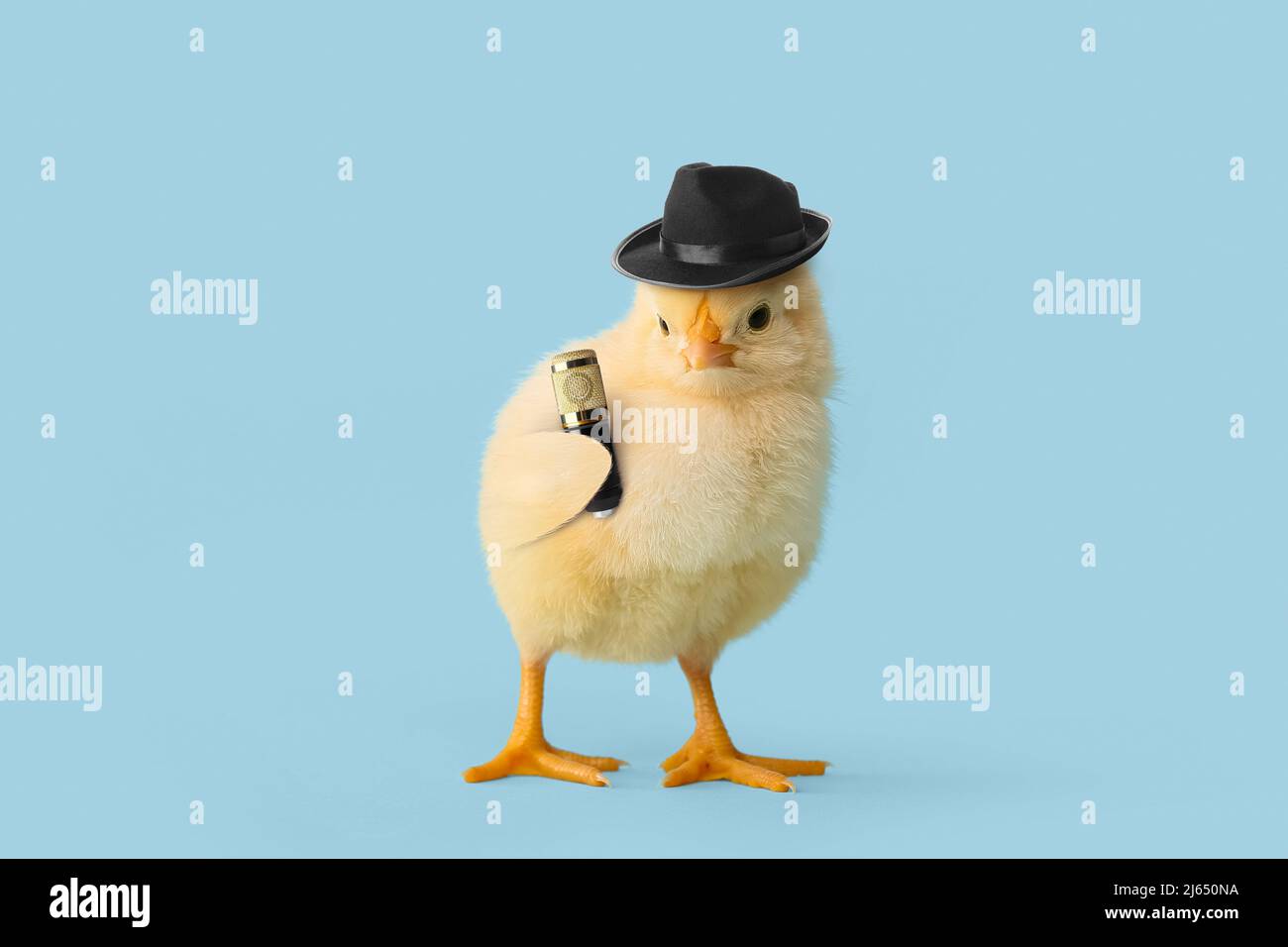 Petite poussin drôle dans un chapeau élégant et avec microphone sur fond  bleu clair Photo Stock - Alamy
